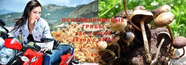 метадон Кодинск